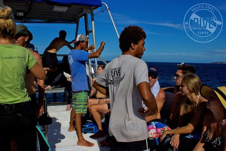 Two Tanks Scuba Diving Tour at Catalina Islands & North Island - CR - Photo 1 of 8